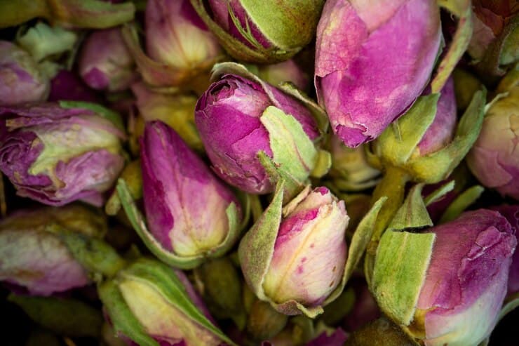 تصویر 3 از گل محمدی شیرازی با عطر دلنشین برداشت بهاری و کاربرد سنتی گسترده